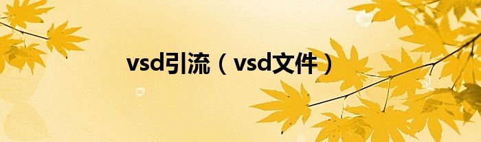 vsd引流（vsd文件）