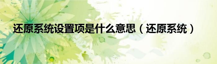 還原系統(tǒng)設置項是什么意思（還原系統(tǒng)）