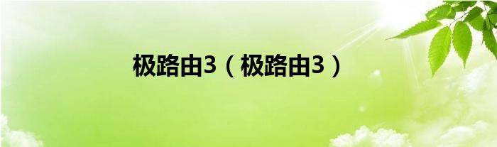 極路由3（極路由3）