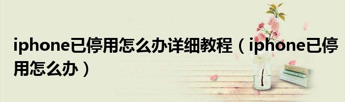 iphone已停用怎么辦詳細教程（iphone已停用怎么辦）