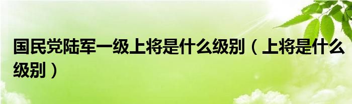 國民黨陸軍一級上將是什么級別（上將是什么級別）
