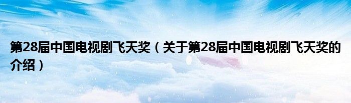 第28屆中國電視劇飛天獎（關(guān)于第28屆中國電視劇飛天獎的介紹）