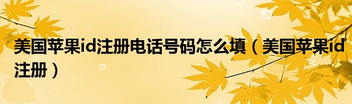 美國(guó)蘋(píng)果id注冊(cè)電話(huà)號(hào)碼怎么填（美國(guó)蘋(píng)果id注冊(cè)）