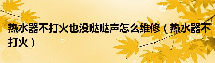 熱水器不打火也沒噠噠聲怎么維修（熱水器不打火）