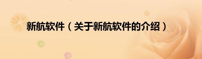 新航軟件（關(guān)于新航軟件的介紹）