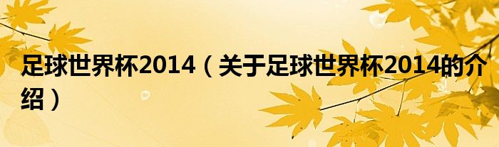 足球世界杯2014（關(guān)于足球世界杯2014的介紹）