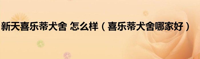 新天喜樂蒂犬舍 怎么樣（喜樂蒂犬舍哪家好）