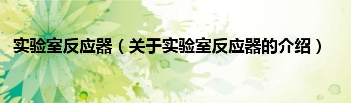實(shí)驗(yàn)室反應(yīng)器（關(guān)于實(shí)驗(yàn)室反應(yīng)器的介紹）