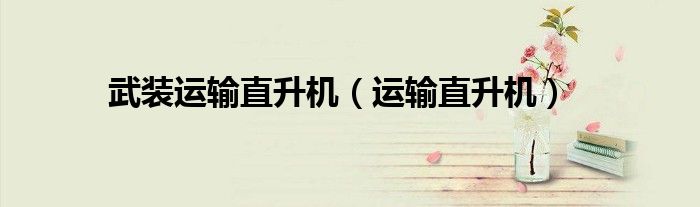 武裝運(yùn)輸直升機(jī)（運(yùn)輸直升機(jī)）