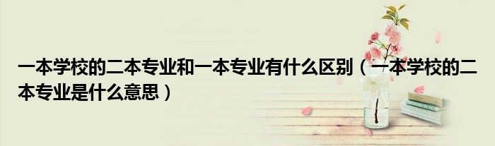 一本學(xué)校的二本專業(yè)和一本專業(yè)有什么區(qū)別（一本學(xué)校的二本專業(yè)是什么意思）
