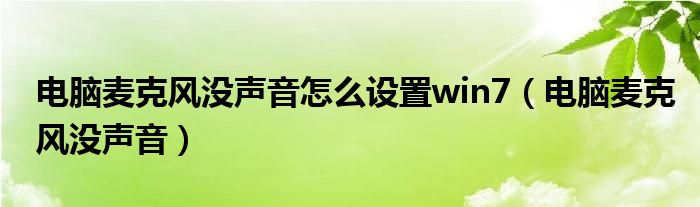 電腦麥克風(fēng)沒聲音怎么設(shè)置win7（電腦麥克風(fēng)沒聲音）