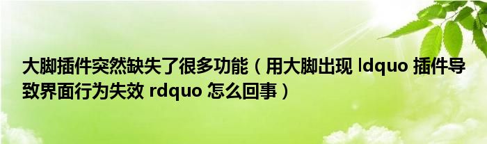 大腳插件突然缺失了很多功能（用大腳出現(xiàn) ldquo 插件導(dǎo)致界面行為失效 rdquo 怎么回事）