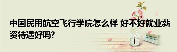 中國(guó)民用航空飛行學(xué)院怎么樣 好不好就業(yè)薪資待遇好嗎?