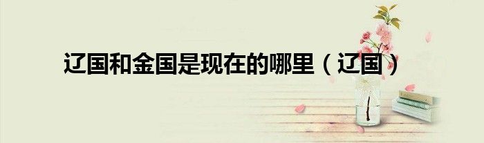 遼國和金國是現(xiàn)在的哪里（遼國）