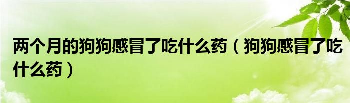 兩個(gè)月的狗狗感冒了吃什么藥（狗狗感冒了吃什么藥）