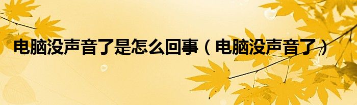 電腦沒聲音了是怎么回事（電腦沒聲音了）