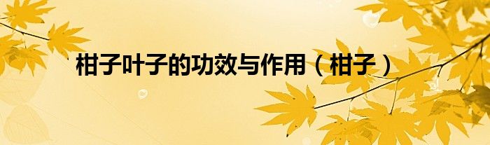 柑子葉子的功效與作用（柑子）