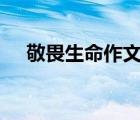 敬畏生命作文300字（敬畏生命的故事）