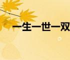 一生一世一雙人小說（一生一世一雙人）
