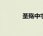 圣殤中字版（圣殤迅雷下載）
