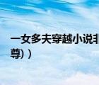 一女多夫穿越小說(shuō)非科幻非女尊（求1女多夫穿越小說(shuō)(非女尊)）