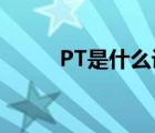 PT是什么設(shè)備（ptn設(shè)備是什么）
