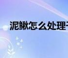 泥鰍怎么處理干凈?（泥鰍怎么處理干凈）
