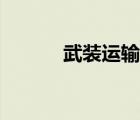 武裝運(yùn)輸直升機(jī)（運(yùn)輸直升機(jī)）