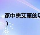 家中熏艾草的功效與作用（艾草的功效與作用）