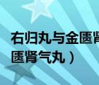 右歸丸與金匱腎氣丸的功效區(qū)別（右歸丸與金匱腎氣丸）