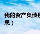 我的資產負債是什么意思（資產負債是什么意思）