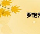 羅艷芳（張子強(qiáng)羅艷芳）