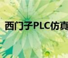 西門(mén)子PLC仿真軟件,那些指令不能實(shí)現(xiàn)功能