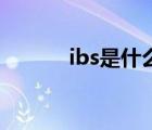 ibs是什么單位（s是什么單位）