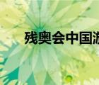 殘奧會中國游泳冠軍（中國游泳冠軍）