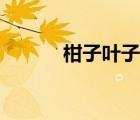 柑子葉子的功效與作用（柑子）