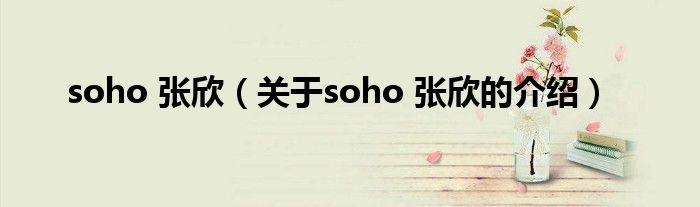 soho 張欣（關于soho 張欣的介紹）