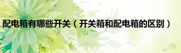 配電箱有哪些開關(guān)（開關(guān)箱和配電箱的區(qū)別）