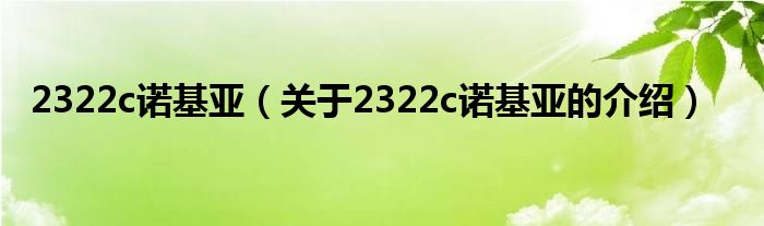 2322c諾基亞（關于2322c諾基亞的介紹）