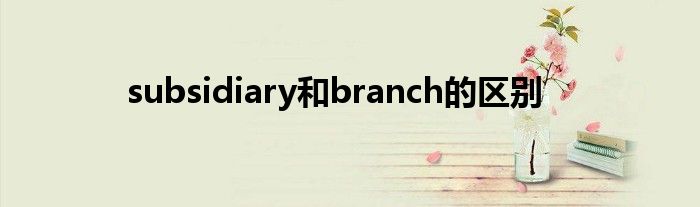 subsidiary和branch的區(qū)別