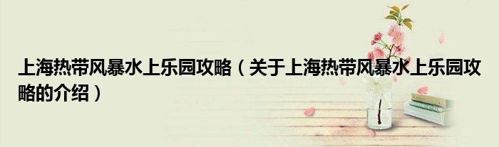 上海熱帶風(fēng)暴水上樂園攻略（關(guān)于上海熱帶風(fēng)暴水上樂園攻略的介紹）