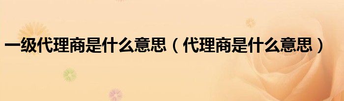 一級代理商是什么意思（代理商是什么意思）
