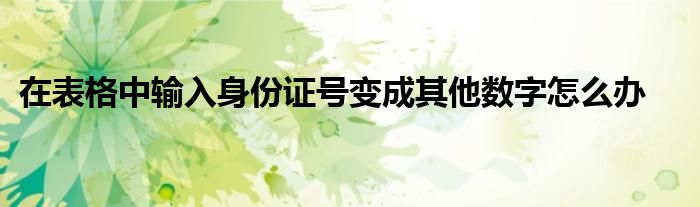 在表格中輸入身份證號變成其他數(shù)字怎么辦