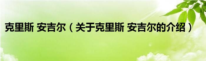 克里斯 安吉爾（關(guān)于克里斯 安吉爾的介紹）