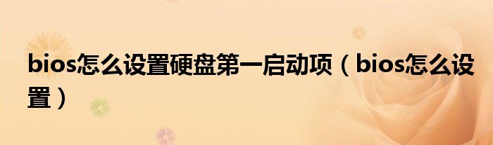 bios怎么設(shè)置硬盤第一啟動(dòng)項(xiàng)（bios怎么設(shè)置）