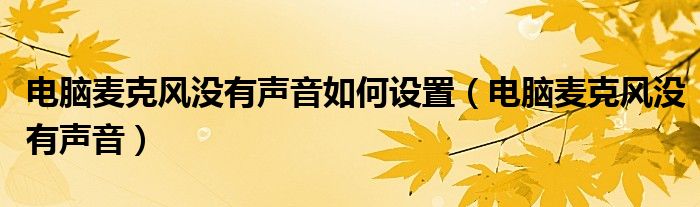 電腦麥克風沒有聲音如何設置（電腦麥克風沒有聲音）