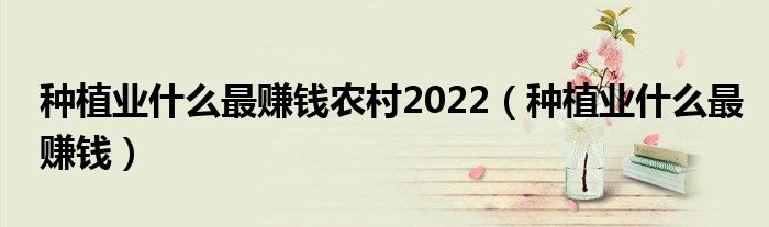 種植業(yè)什么最賺錢農(nóng)村2022（種植業(yè)什么最賺錢）