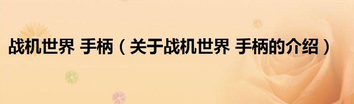 戰(zhàn)機世界 手柄（關(guān)于戰(zhàn)機世界 手柄的介紹）