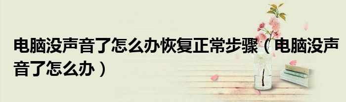 電腦沒聲音了怎么辦恢復(fù)正常步驟（電腦沒聲音了怎么辦）