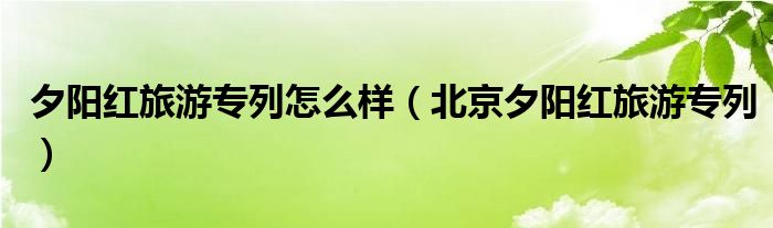 夕陽紅旅游專列怎么樣（北京夕陽紅旅游專列）
